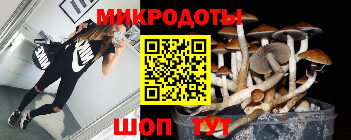 Псилоцибиновые грибы Cubensis  Вход с VPN  Галлюциногенные грибы Psilocybe  Волгоград 
